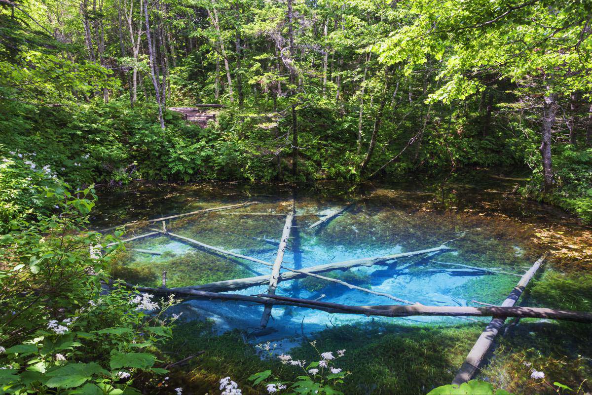 神の子池 ~日本の絶景を世界へ~ ZEKKEI Japan