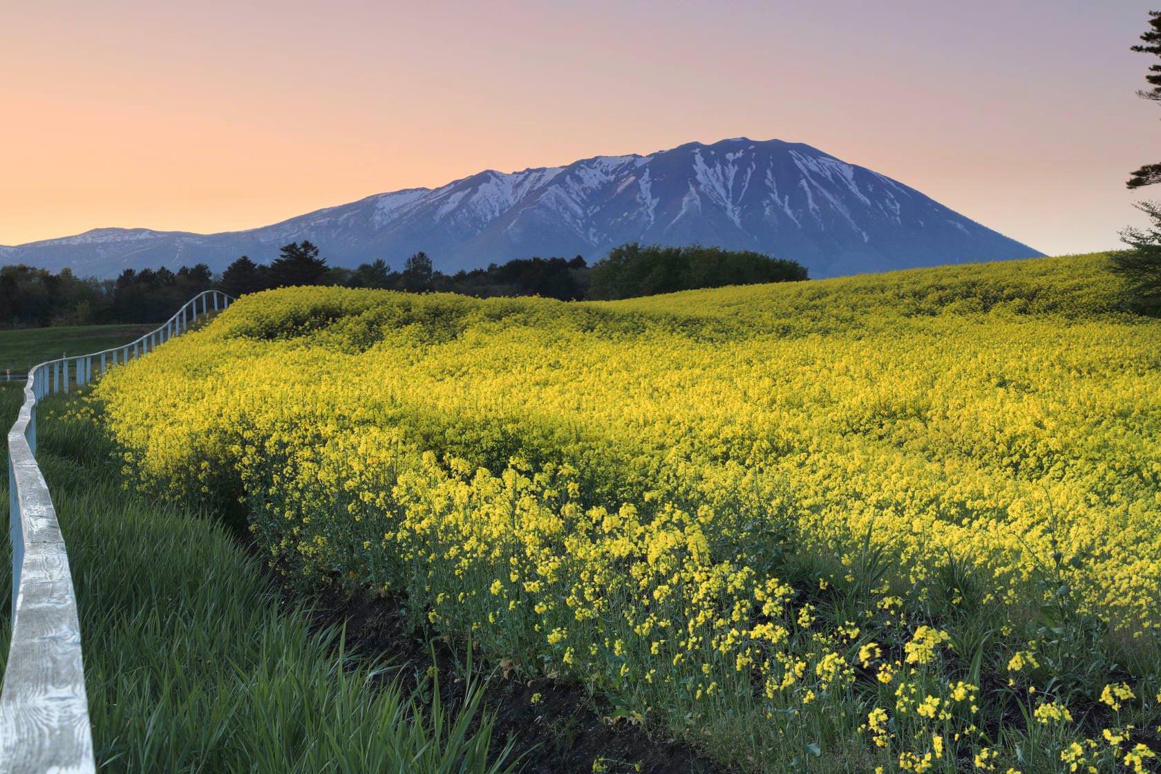 風景 ZX-25R で東京から阿蘇・山口ツーリングに行ってきた@2023春｜FUJI X