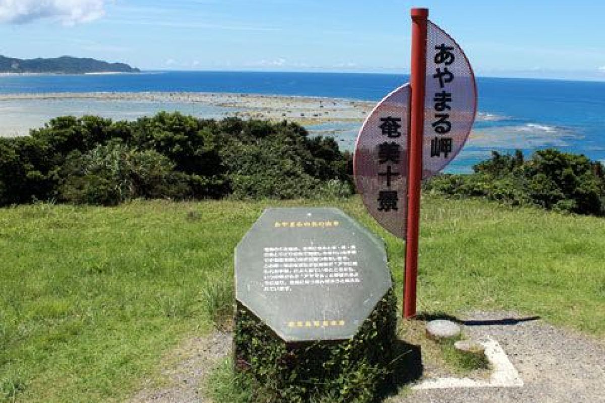 【深度日本游】奄美大岛·把原汁原味的日本送给你|绝景日本