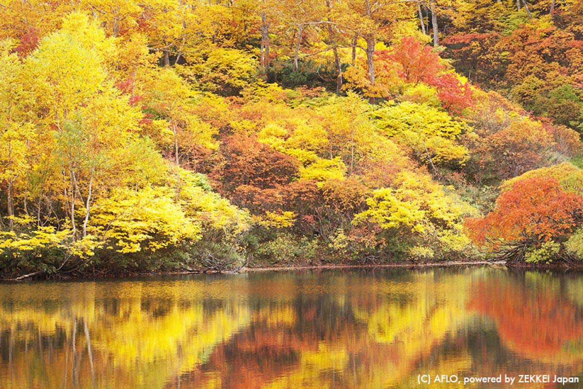 秋のZEKKEIアワードを発表！｜ZEKKEI Japan