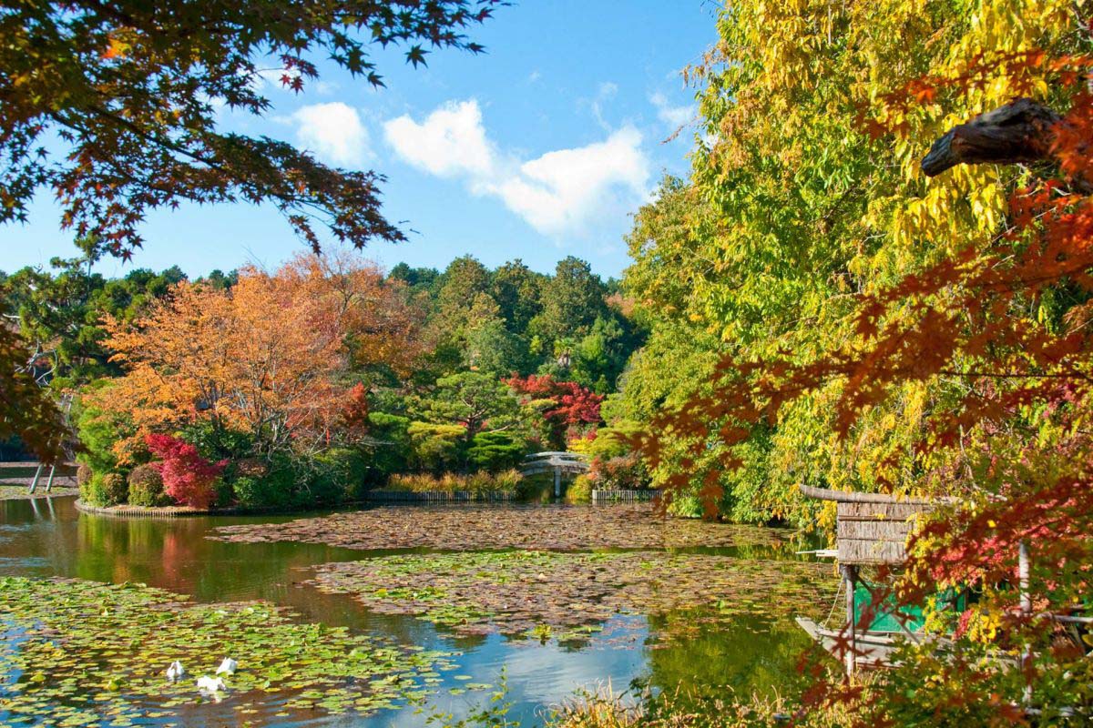 日本美景攝影比賽12月參賽作品精選 第2集 絕景日本