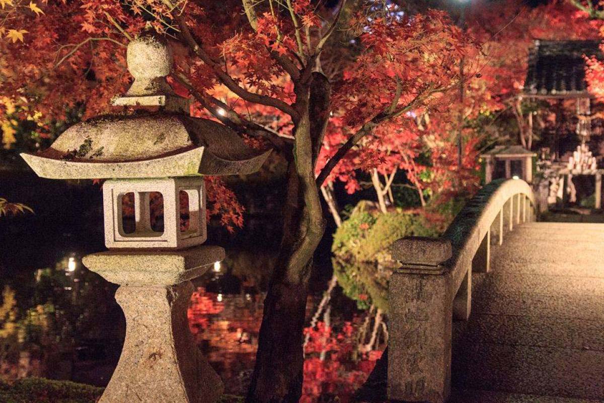 日本の秋・厳選風景16年【 風景写真 9-10月号　2007〜2022年】16冊 日本の秋・厳選風景16年【 風景写真 9-10月号 2007〜2022